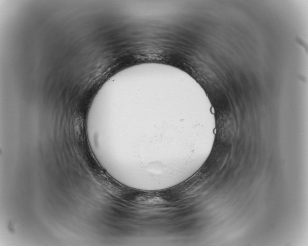 X0000095890747200802011106