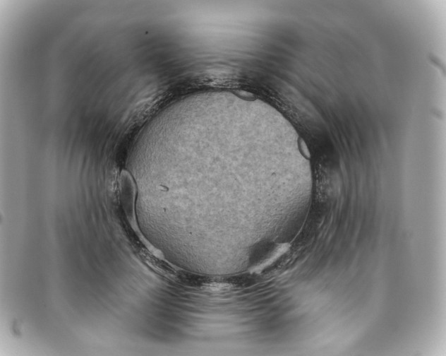 X0000095890748200802011106