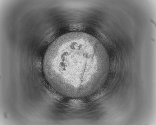 X0000095890749200802011106