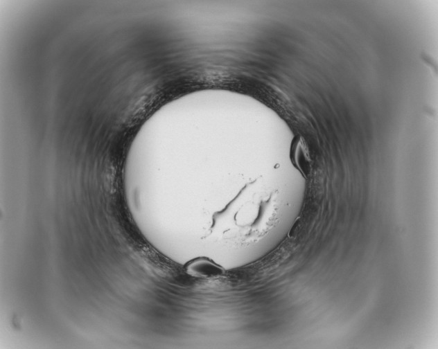 X0000095890750200802011106