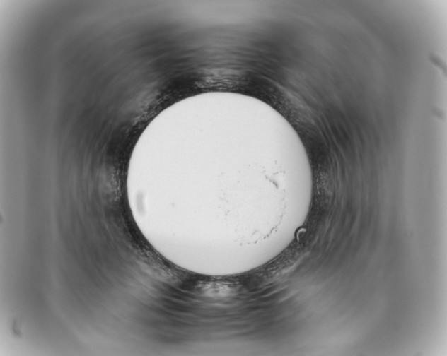 X0000095890751200802011106