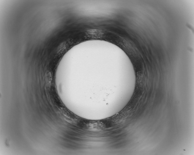 X0000095890752200802011106