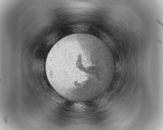 X0000095890753200802011106