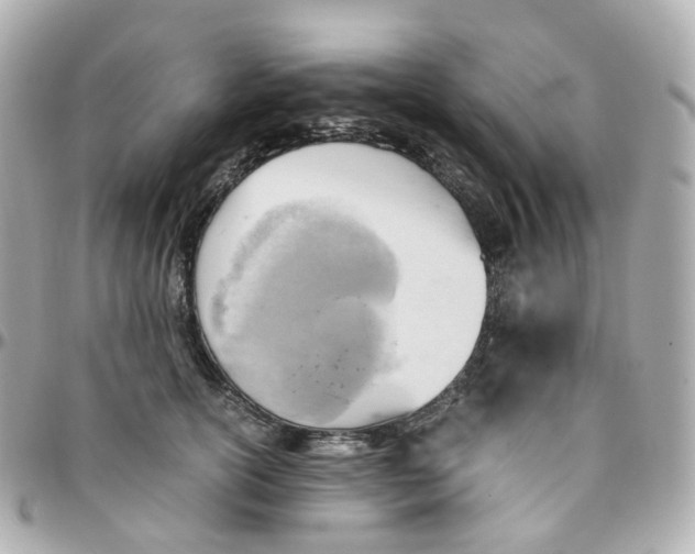 X0000095890754200802011106