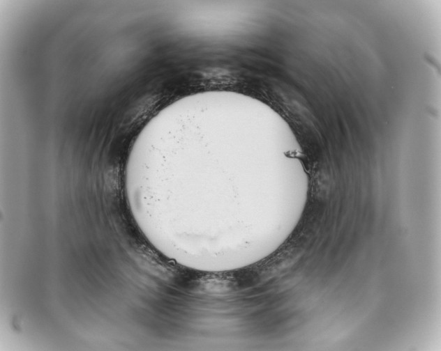 X0000095890756200802011106