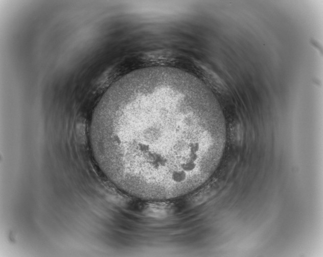 X0000095890757200802011106