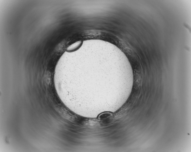 X0000095890758200802011106