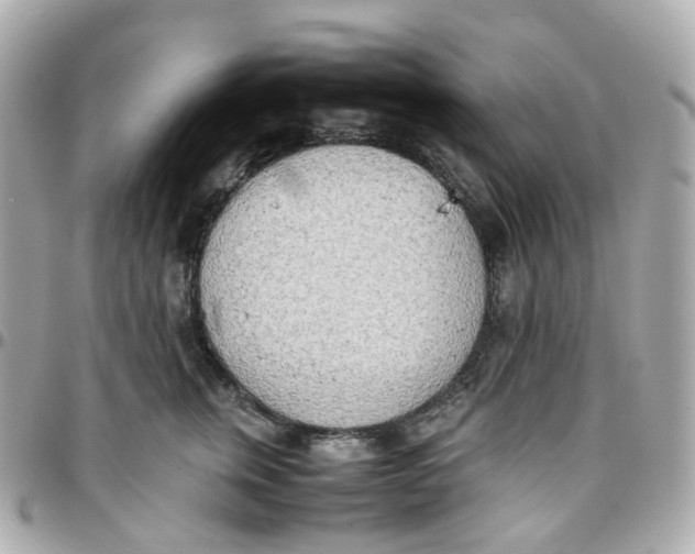 X0000095890759200802011106