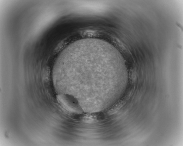 X0000095890760200802011106