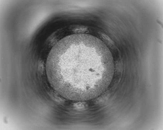 X0000095890761200802011106