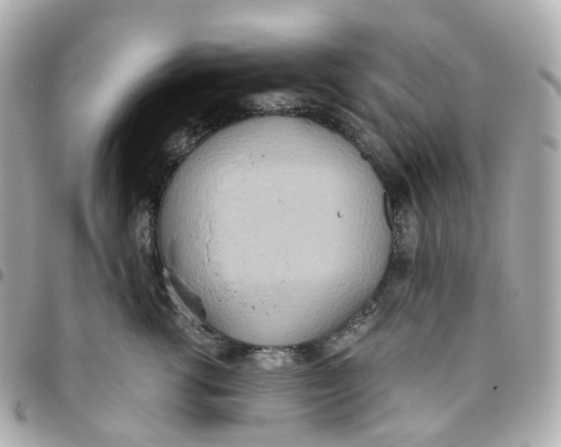 X0000095890762200802011106