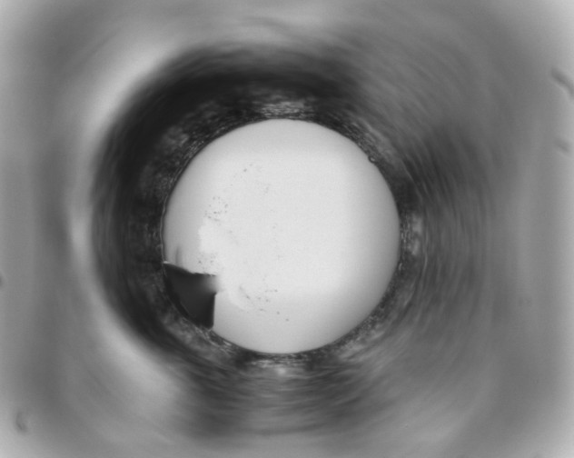 X0000095890763200802011106