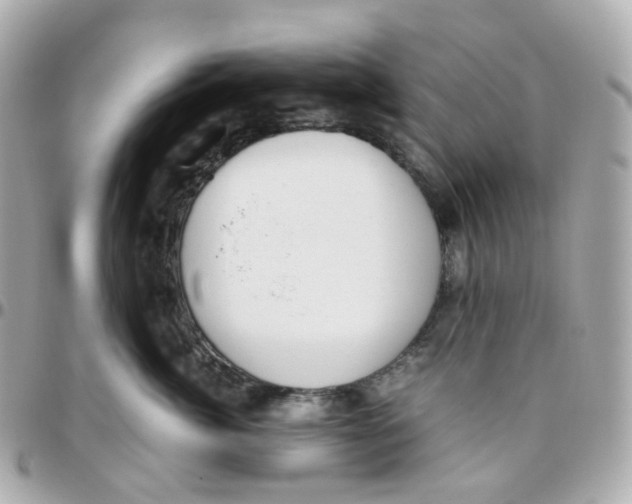 X0000095890764200802011106