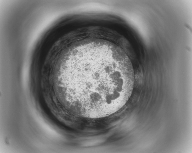 X0000095890765200802011106