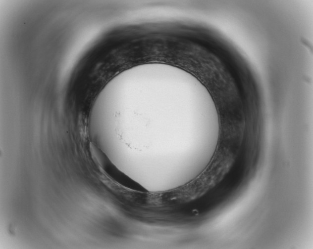 X0000095890766200802011106