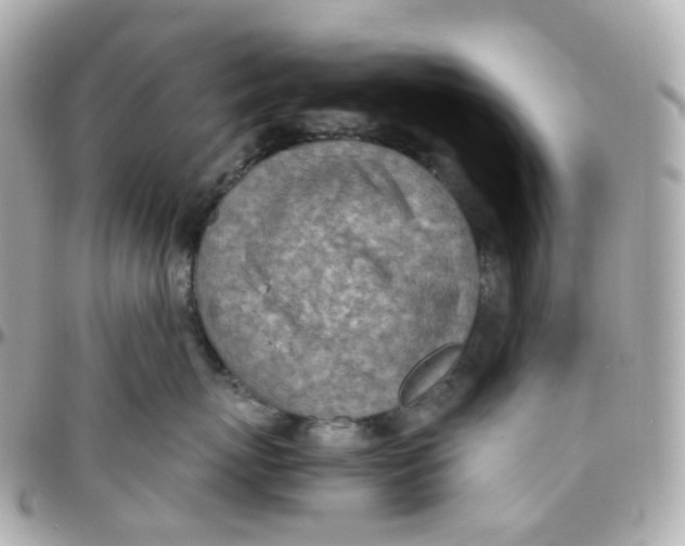 X0000095890767200802011106