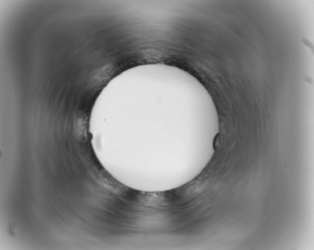 X0000095890768200802011106