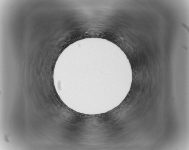 X0000095890769200802011106