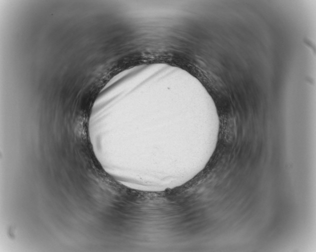 X0000095890770200802011106