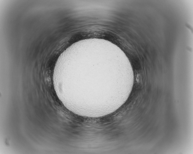 X0000095890771200802011106