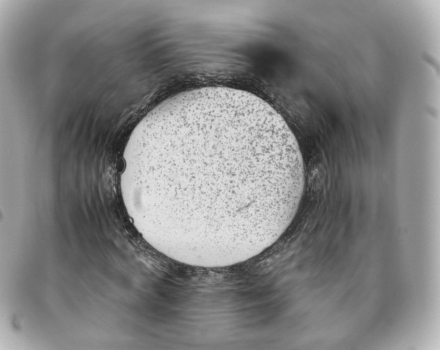 X0000095890772200802011106