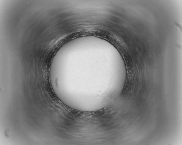 X0000095890773200802011106