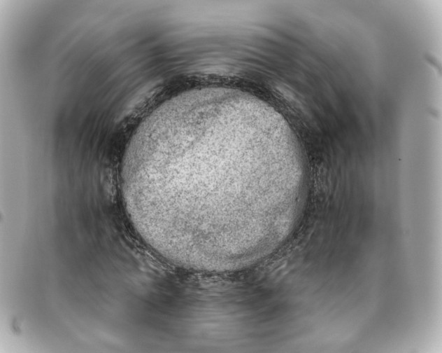 X0000095890774200802011106