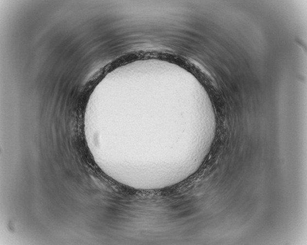 X0000095890775200802011106