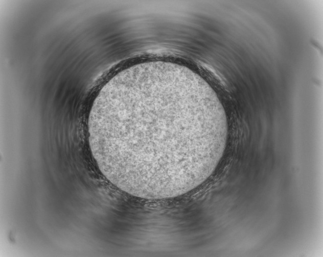 X0000095890776200802011106