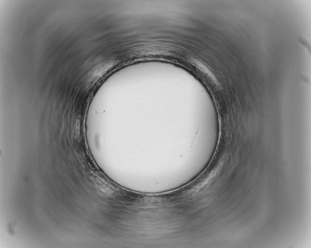 X0000095890777200802011106