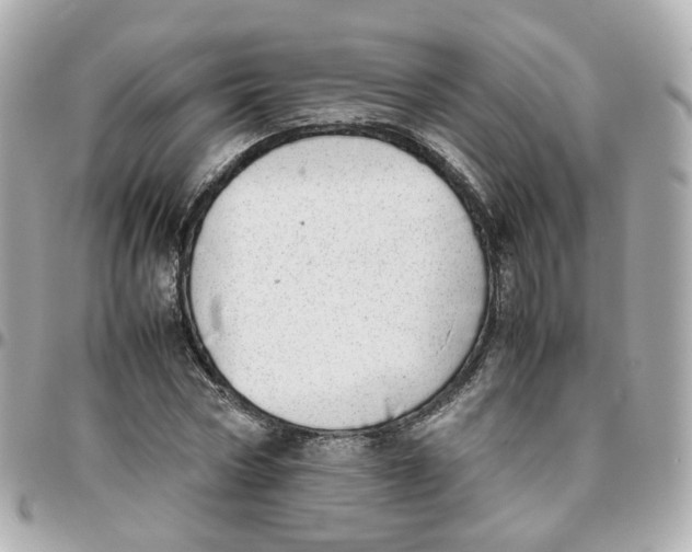 X0000095890778200802011106