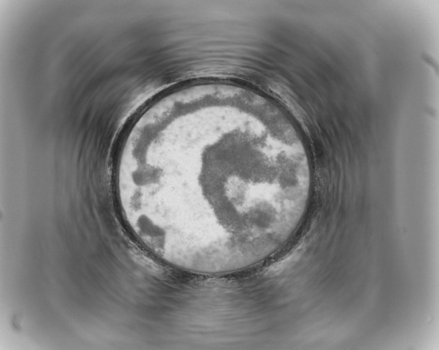 X0000095890779200802011106