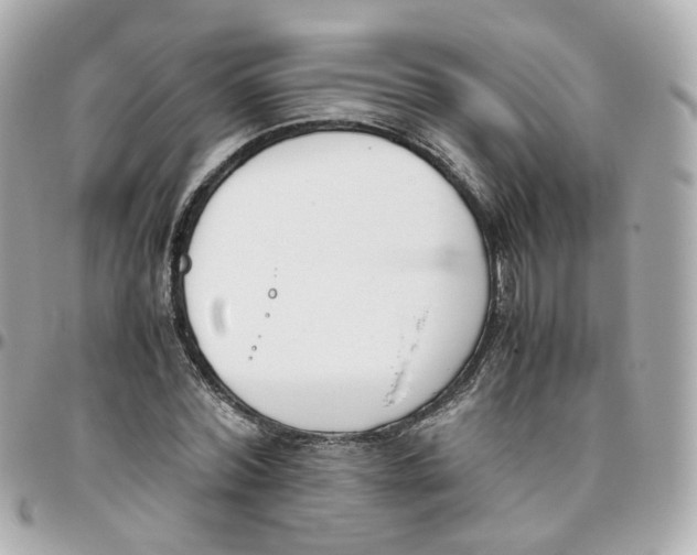 X0000095890780200802011106