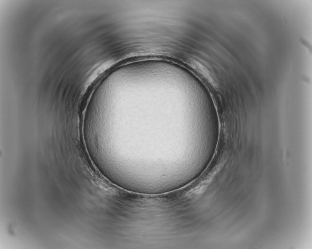 X0000095890781200802011106