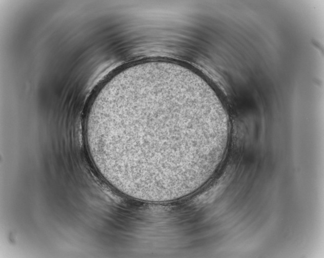 X0000095890782200802011106