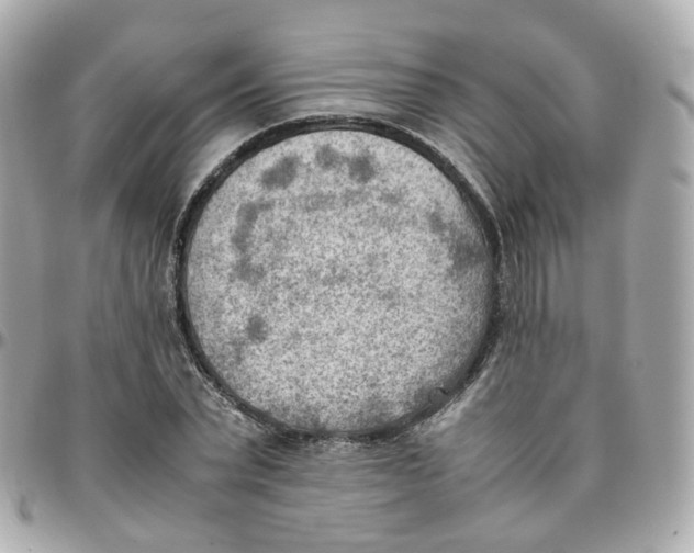 X0000095890783200802011106