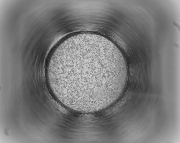 X0000095890784200802011106