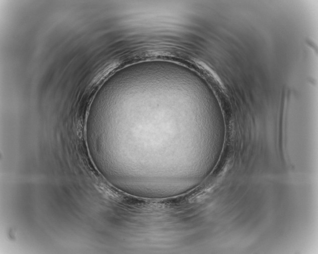 X0000095890785200802011106