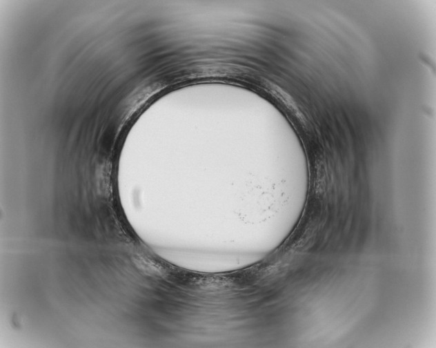 X0000095890786200802011106