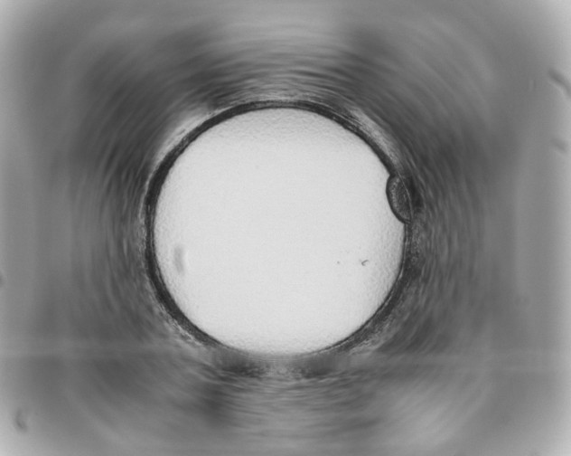 X0000095890787200802011106