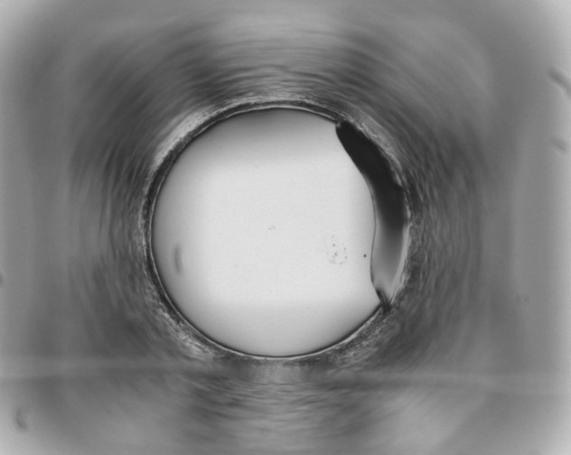 X0000095890789200802011105