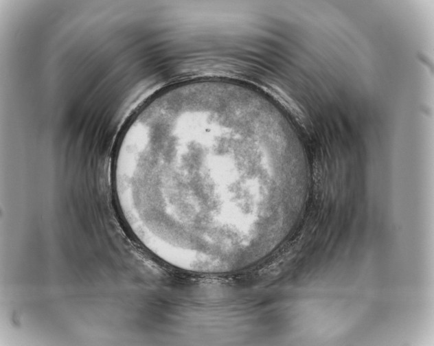 X0000095890790200802011105