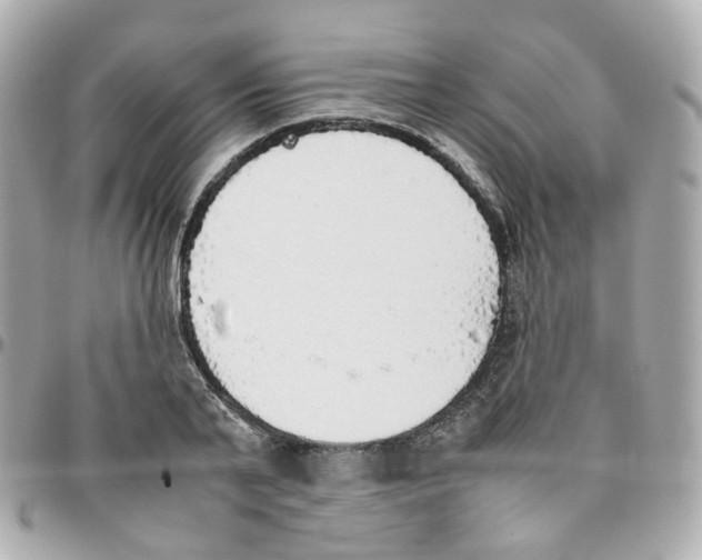 X0000095890791200802011105