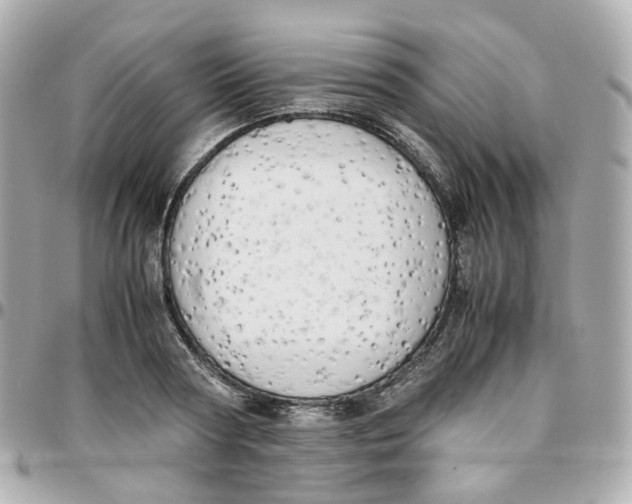 X0000095890794200802011105