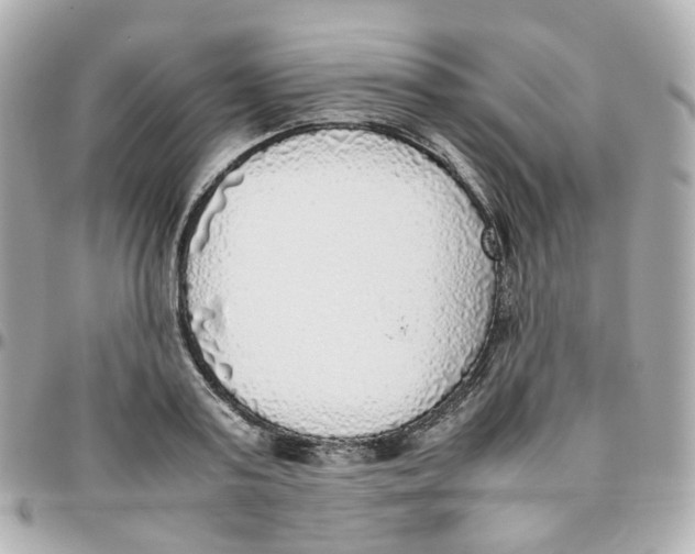 X0000095890795200802011105