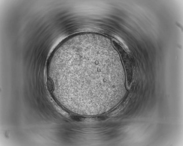 X0000095890796200802011105