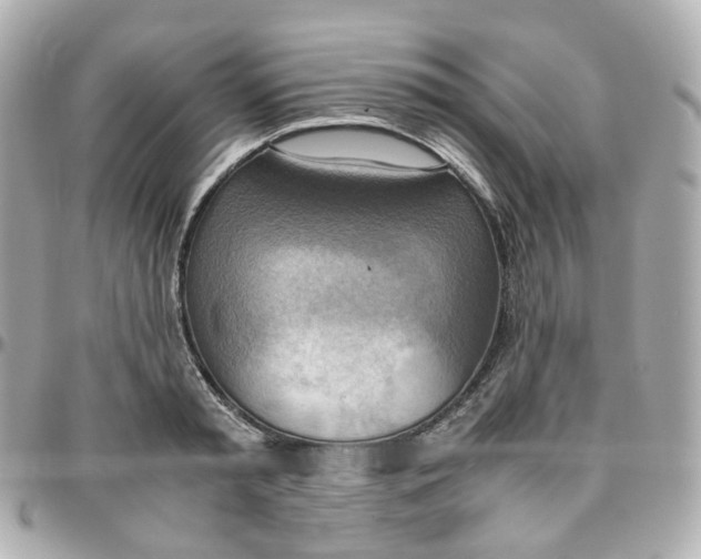 X0000095890797200802011105