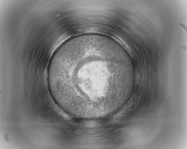 X0000095890798200802011105