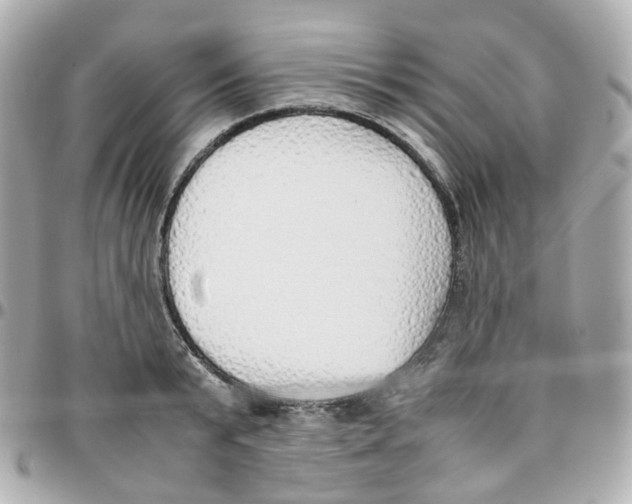 X0000095890799200802011105