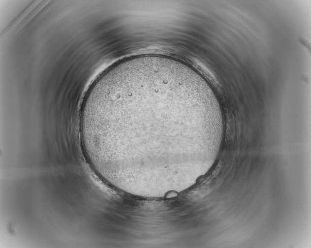 X0000095890800200802011105